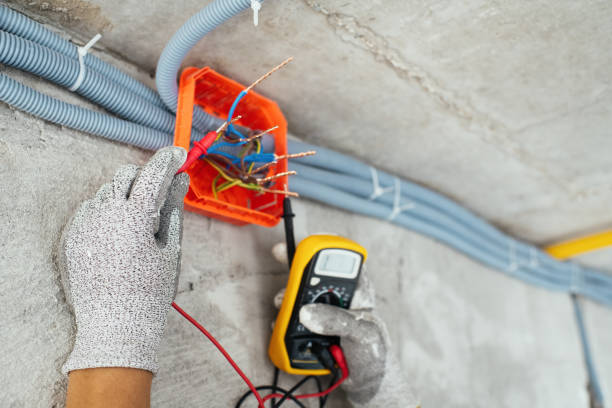Best Electric Panel Repair  in Cologne, NJ